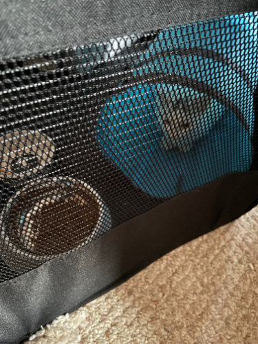 Bertie hiding in a cat tube inside a mesh pet playpen.