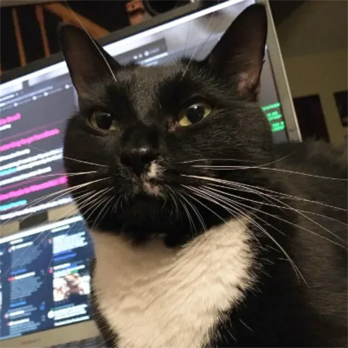 Alice (cat), sitting on my desk blocking the monitor and preventing me from using mouse or keyboard